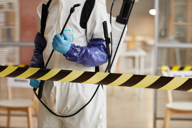 Professional Odor Removal technician working in West Elkton, OH
